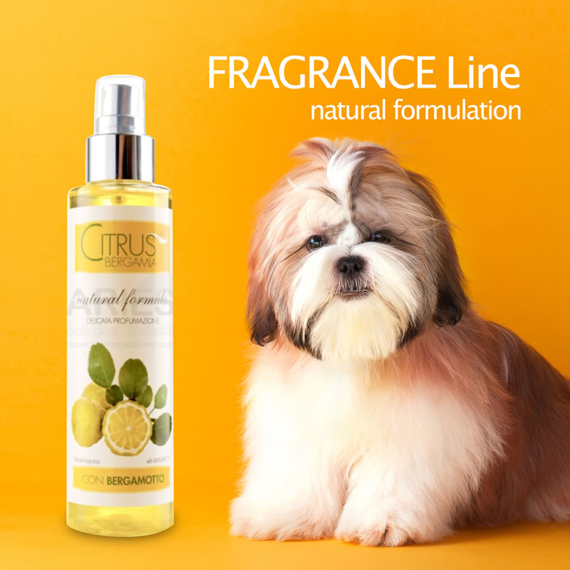 linea-profumi